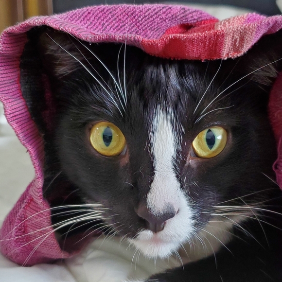 Meet your Posher, Mallory! - Picture 1 of 4